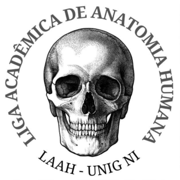 LAAH - Liga Acadêmica de Anatomia Humana / UNIG