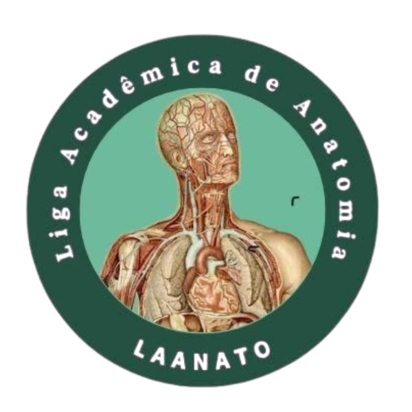 LAANATO - Liga Academica de Anatomia / UNIGRANRIO DC