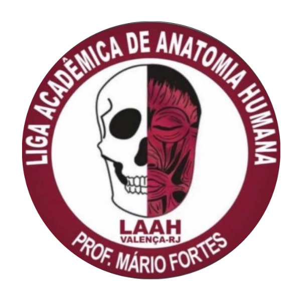 LAAH - Liga Acadêmica de Anatomia Humana / FMV 
