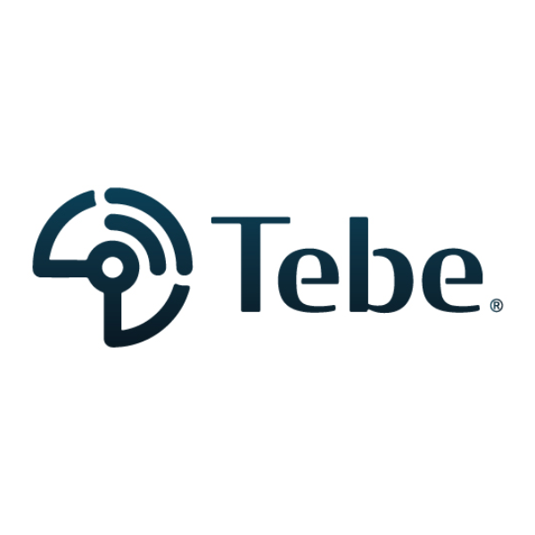 TEBE SENSORES