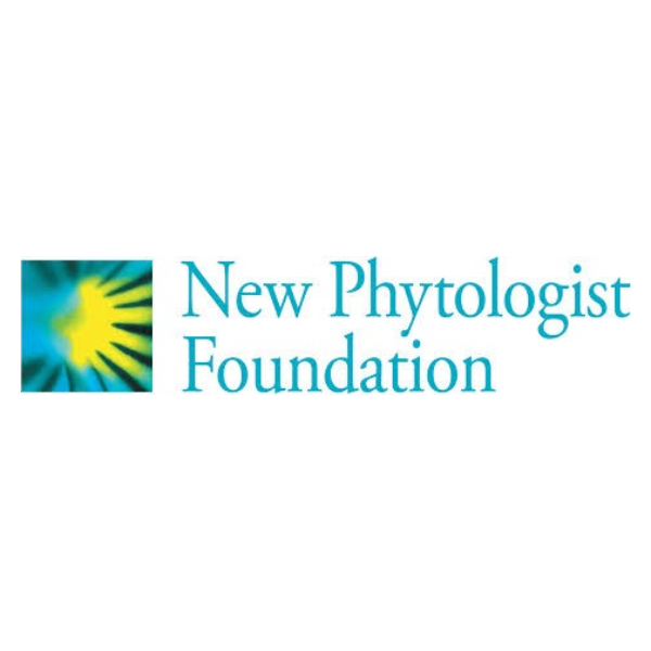New Phytologist Foundation