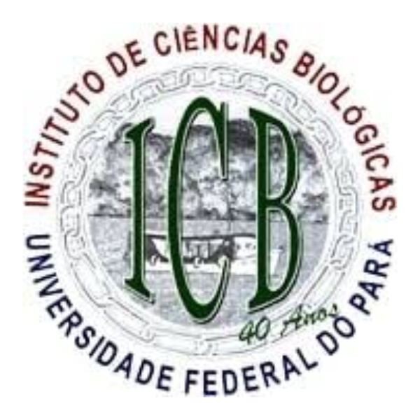 ICB - UFPA