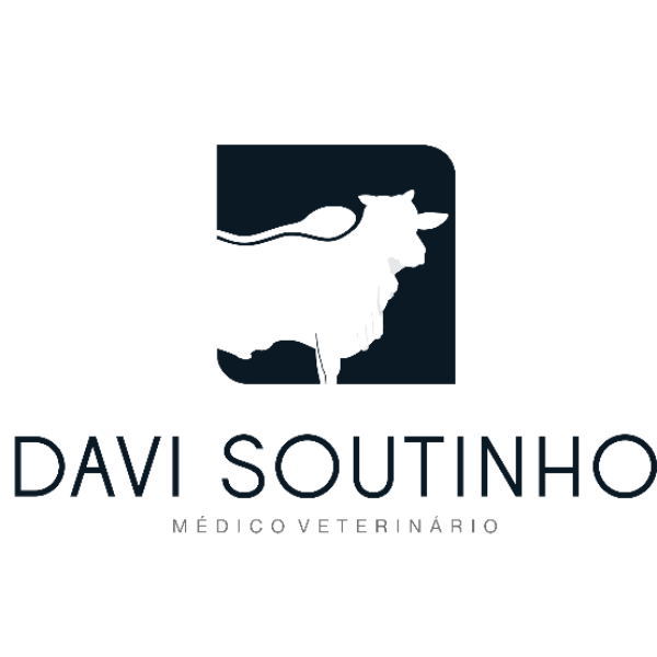 DAVI SOUTINHO