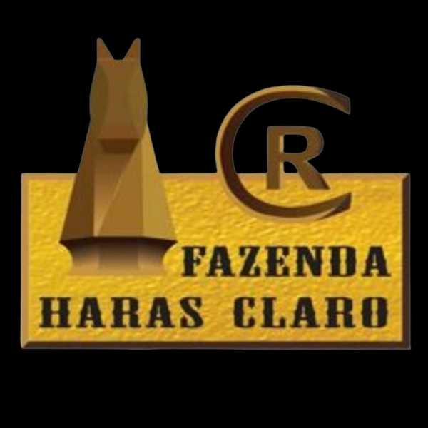 HARAS CLARA