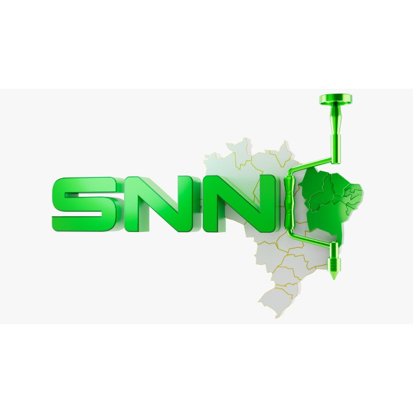 SNN - SOCIEDADE NORDESTINA DE NEUROCIRURGIA