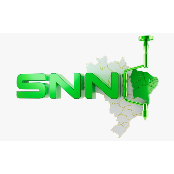 SNN - SOCIEDADE NORDESTINA DE NEUROCIRURGIA