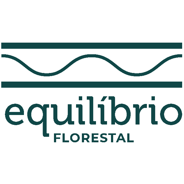 EQUILÍBRIO