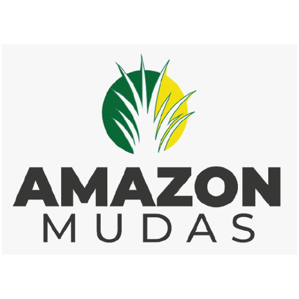 AMAZON MUDAS