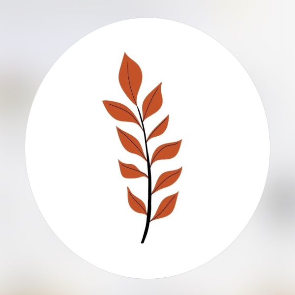https://www.instagram.com/dailykitchen.com.br?igsh=d2xqeDF4OGxjdTFs
