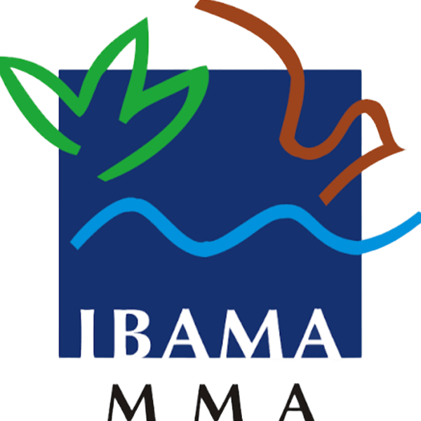 Instituto Brasileiro do Meio Ambiente e dos Recursos Naturais Renováveis