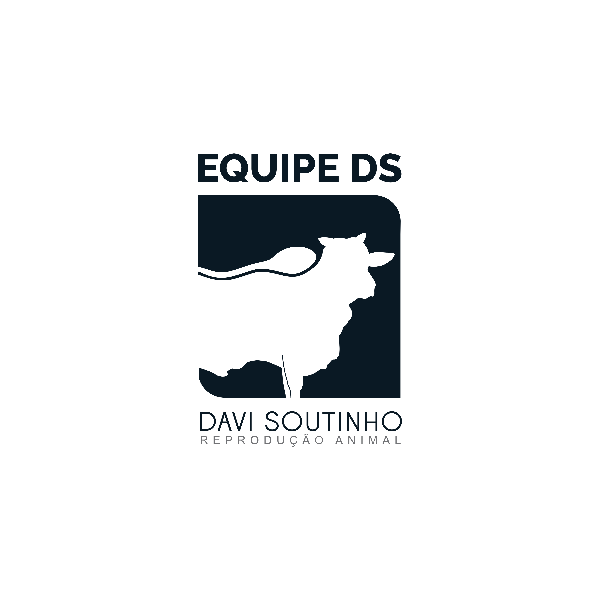 DAVI SOUTINHO