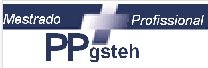 Mestrado Profissional (PPgsteh)