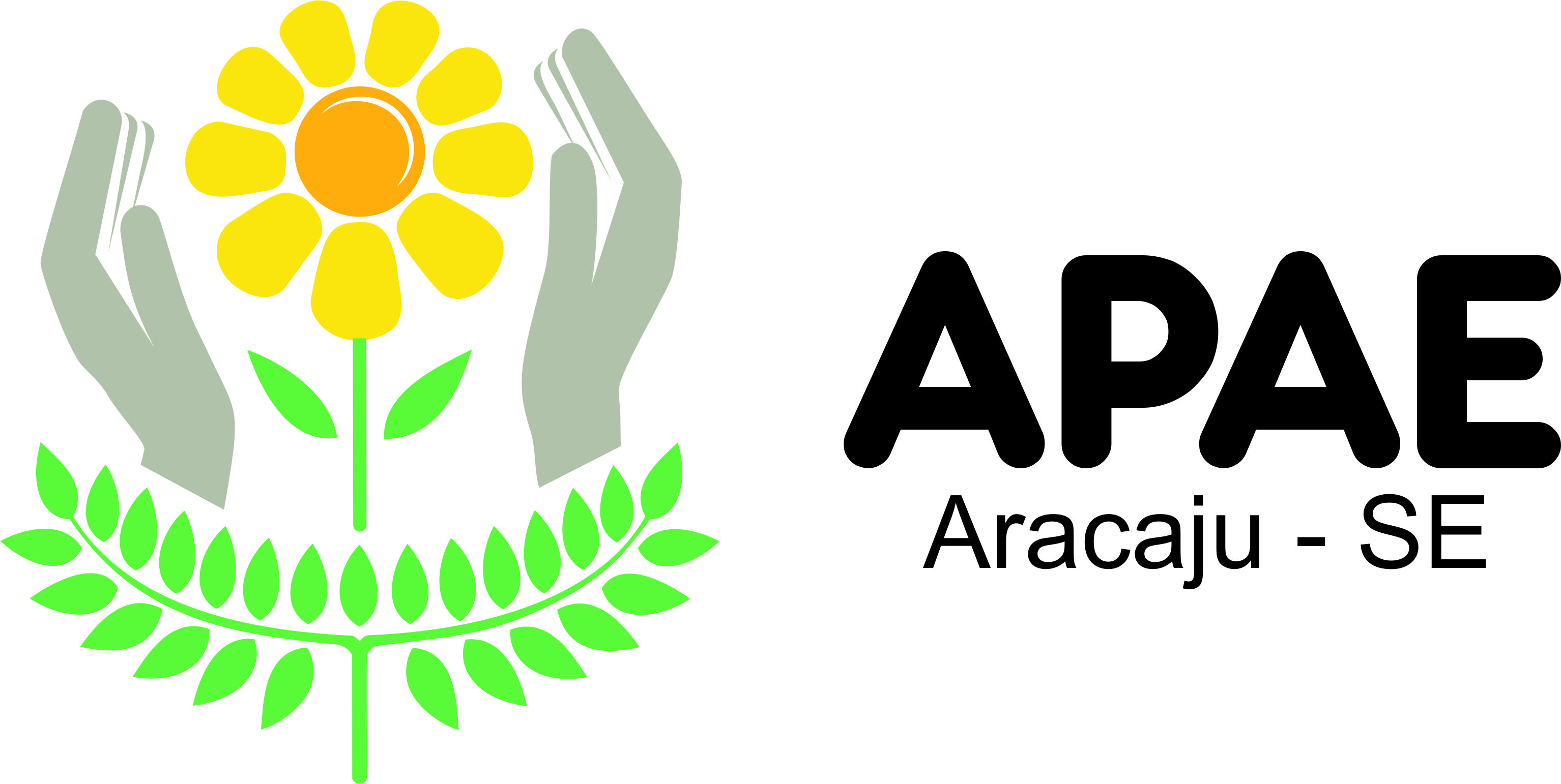 Apae Aracaju