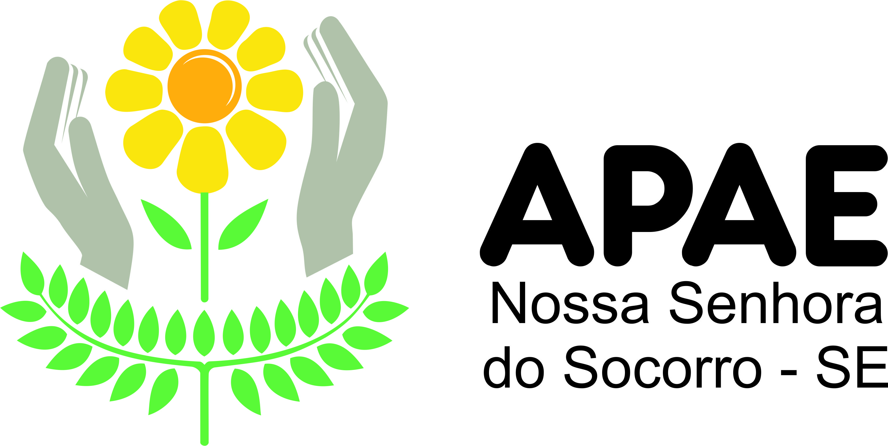 Apae Nossa Senhora do Socorro