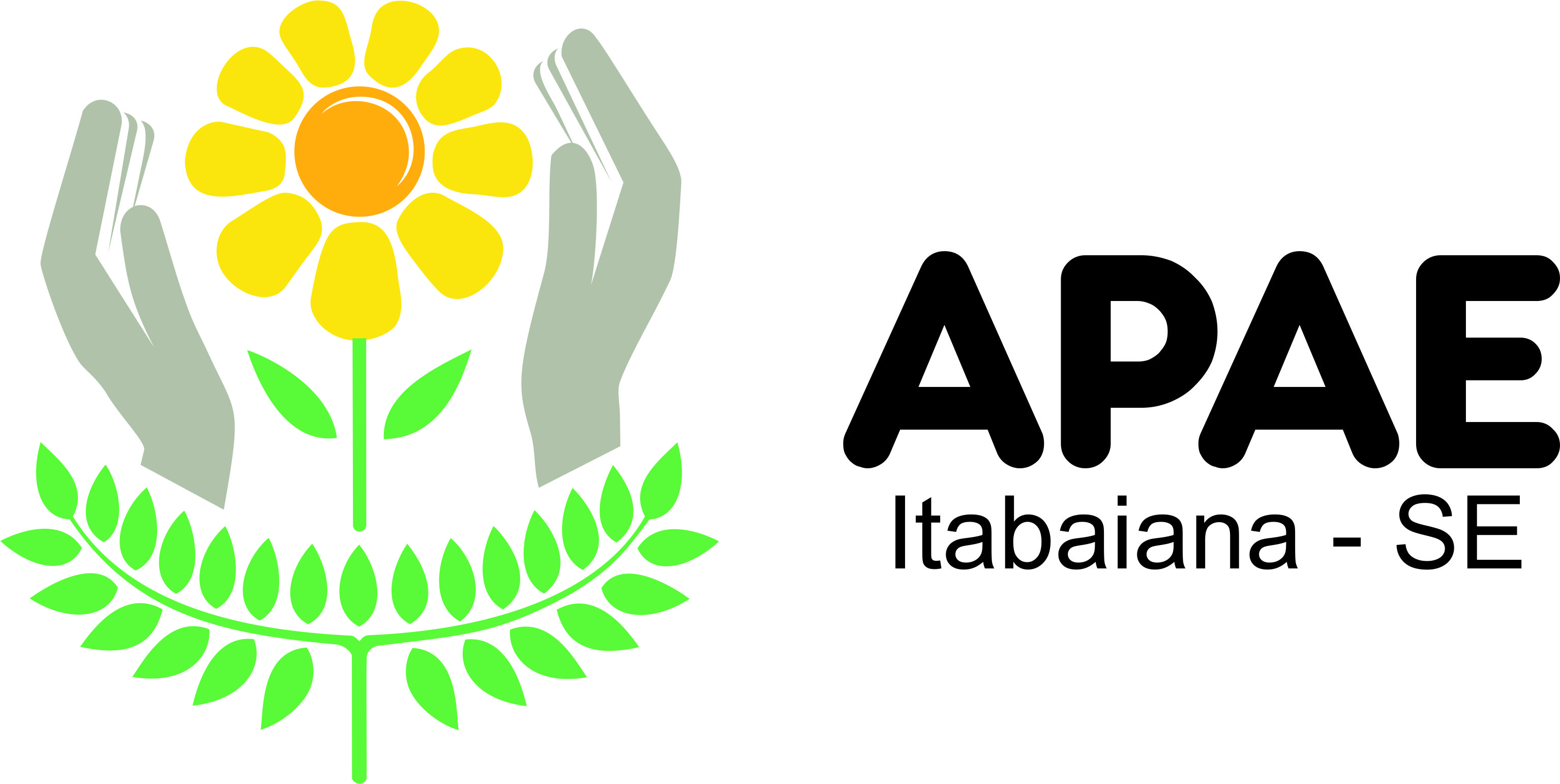 Apae Itabaiana