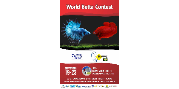 World Betta Contest