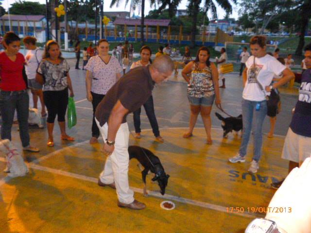 I Pet Global Adestramento