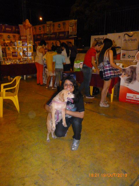 I Pet Global mais amigos