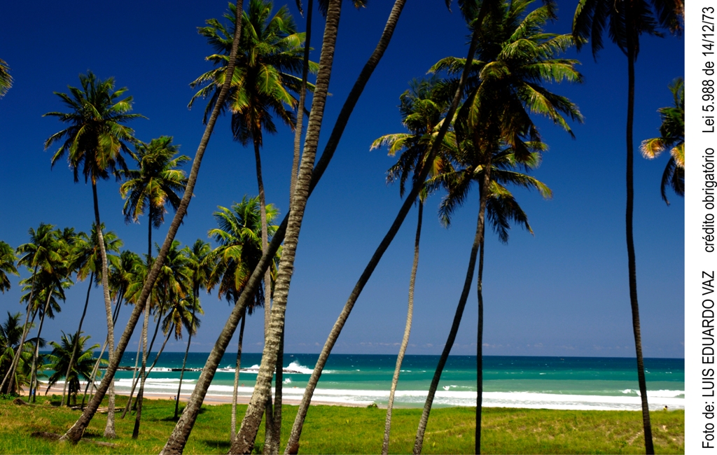 Praia do Francês